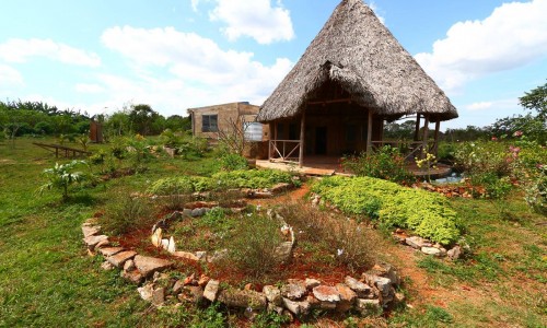 #CUBA Jardines de Bellamar Abril 2014 Site projet Bellamar