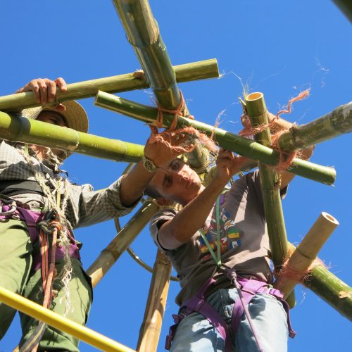 IMG_2639 IMG_2639