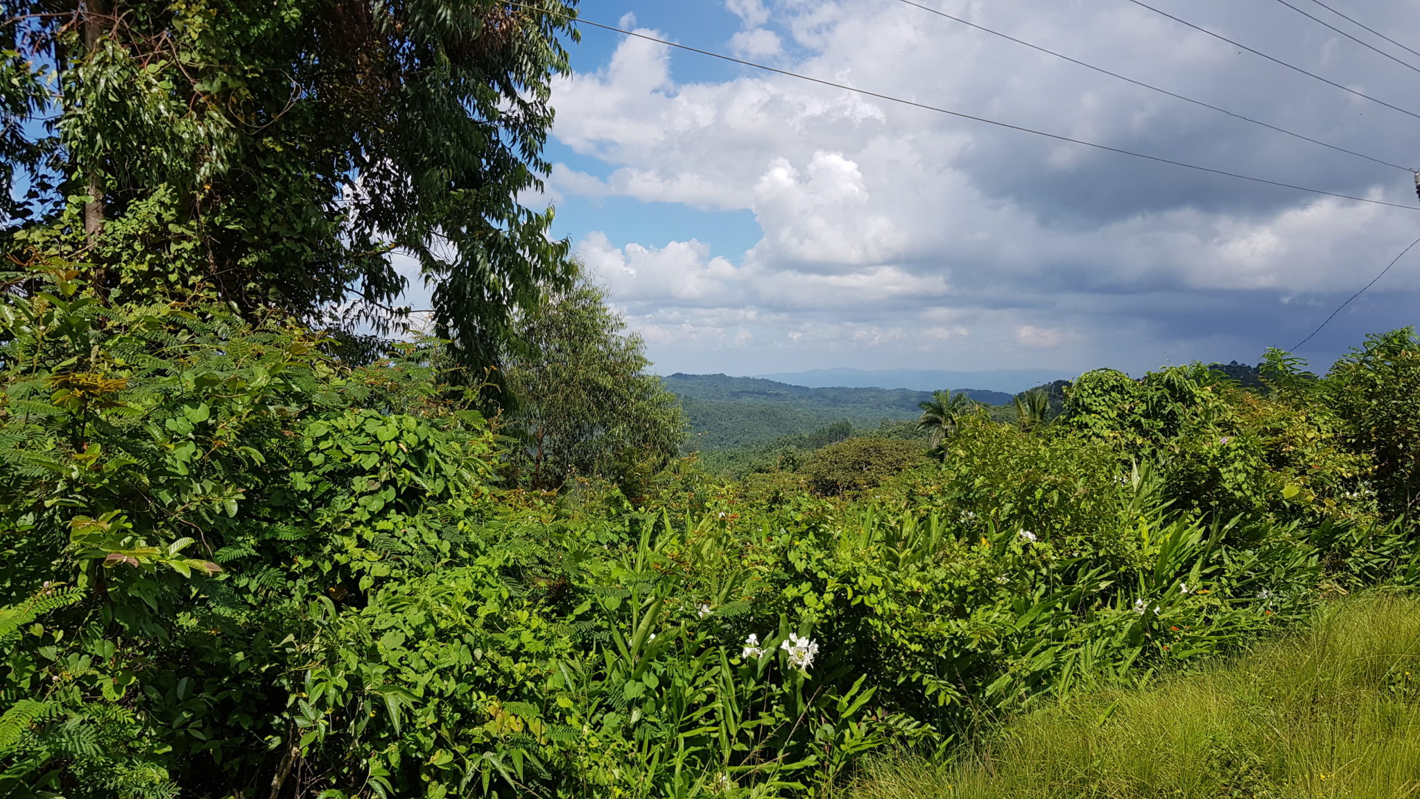 20190810_153309