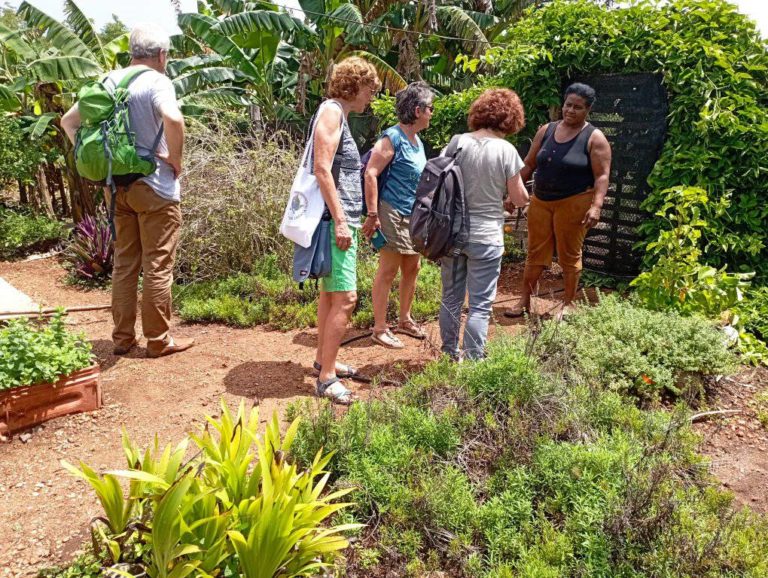 280201603_1402200873585040_7233785375156549910_n