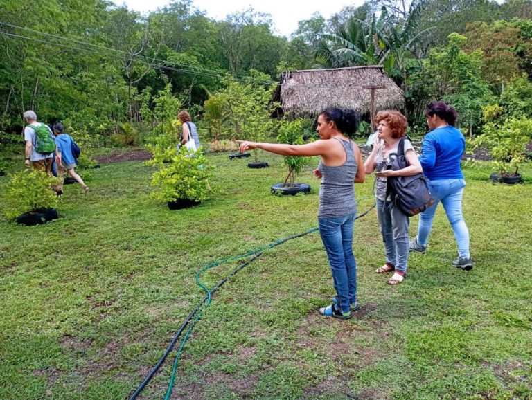 280388954_1402200883585039_3810616328837846611_n