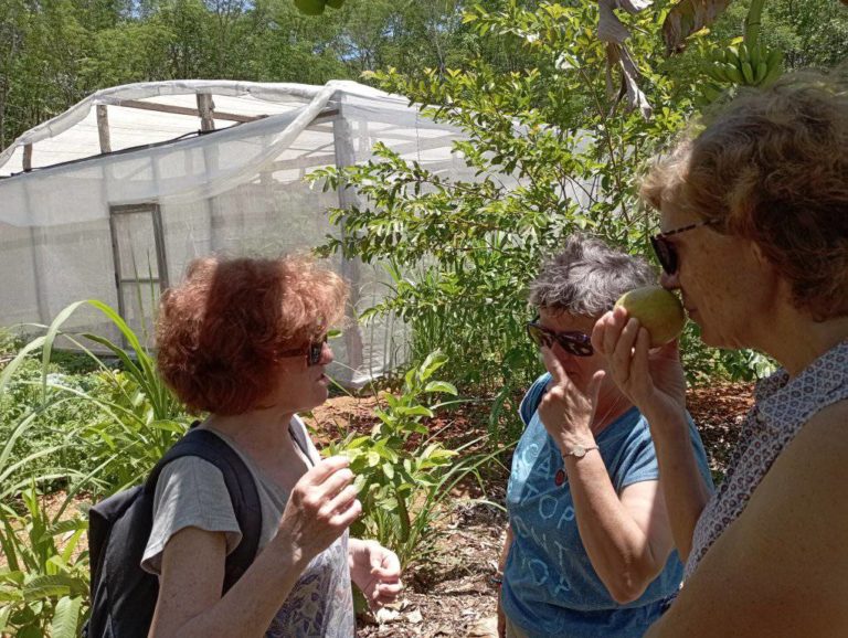 280489524_1402200680251726_1787711119832370124_n