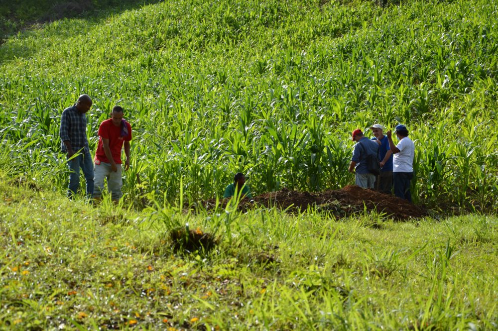 Photo producteurs tranchée