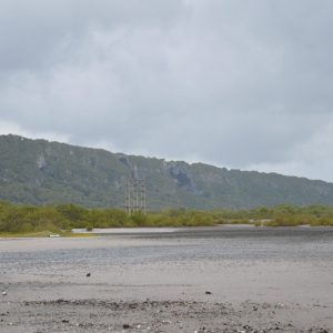 DSC_0103