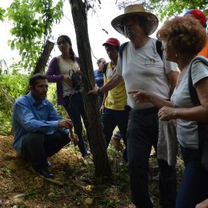 Lectura de suelo, Tereno de Gregory
