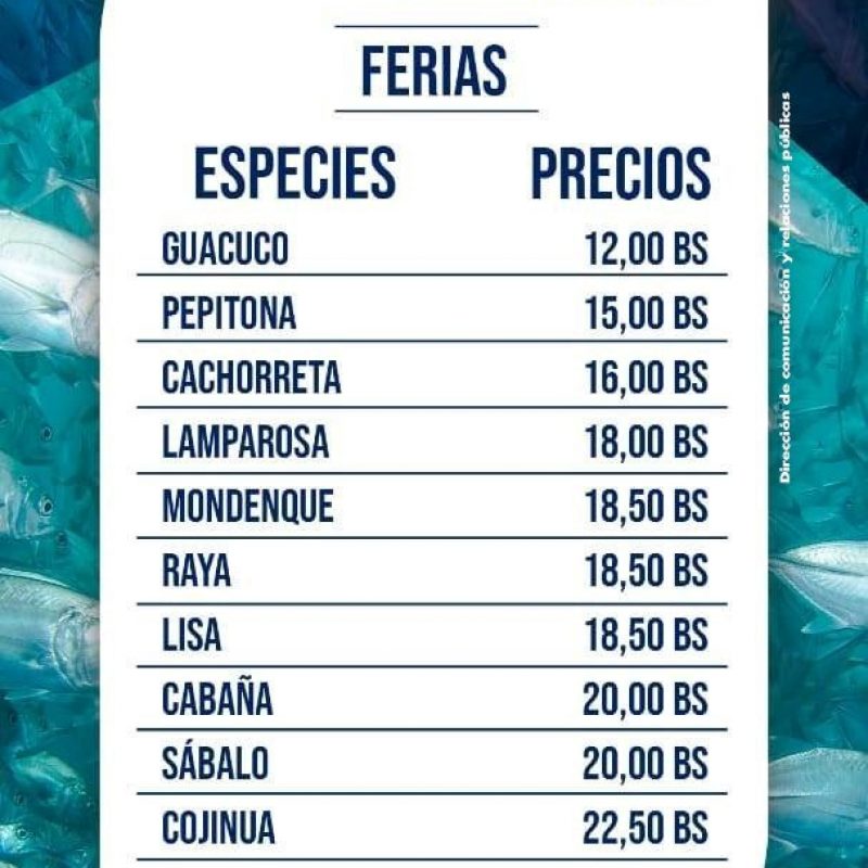 mercado programa